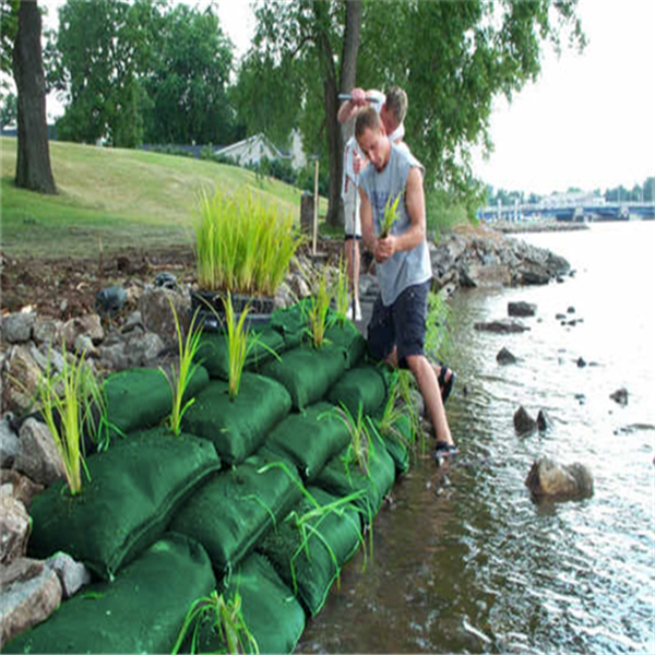 雙向塑料土工格柵